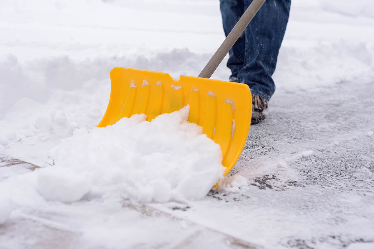 Attrezzature e accesori per pulizie : PALA DA NEVE COMPONIBILE